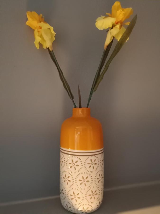 Narciso Boutique Apartment Acireale Dış mekan fotoğraf
