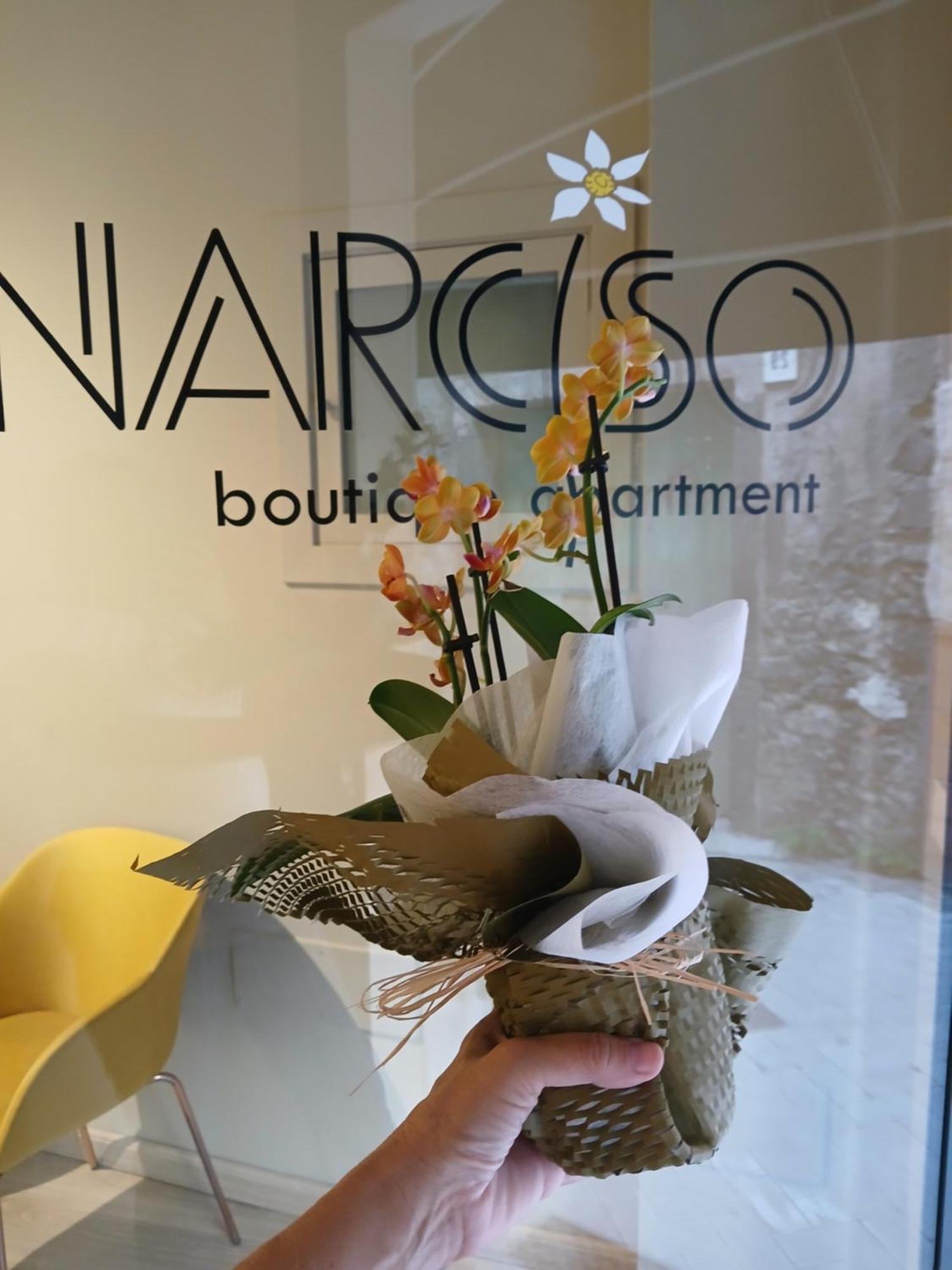 Narciso Boutique Apartment Acireale Dış mekan fotoğraf